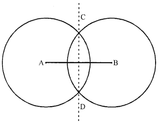 ML Aggarwal Class 6 Solutions for ICSE Maths Chapter 13 Practical Geometry Ex 13.2 4