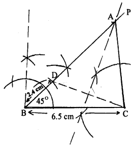 ML Aggarwal Class 9 Solutions for ICSE Maths Chapter 10 Triangle Chapter Test img-25