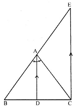 ML Aggarwal Class 9 Solutions for ICSE Maths Chapter 10 Triangle Chapter Test img-9