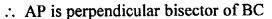 ML Aggarwal Class 9 Solutions for ICSE Maths Chapter 10 Triangles ch Q14