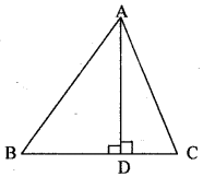 ML Aggarwal Class 9 Solutions for ICSE Maths Chapter 12 Pythagoras Theorem Chapter Test img-4