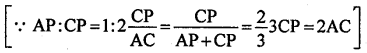 ML Aggarwal Class 9 Solutions for ICSE Maths Chapter 12 Pythagoras Theorem Chapter Test img-7