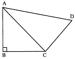 ML Aggarwal Class 9 Solutions for ICSE Maths Chapter 12 Pythagoras Theorem Chapter Test img-9