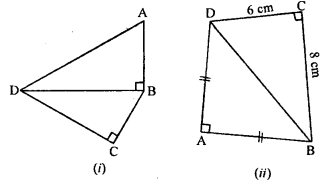 ML Aggarwal Class 9 Solutions for ICSE Maths Chapter 12 Pythagoras Theorem Q14.1