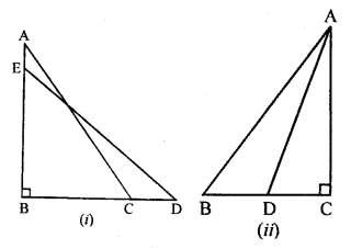 ML Aggarwal Class 9 Solutions for ICSE Maths Chapter 12 Pythagoras Theorem Q16.1