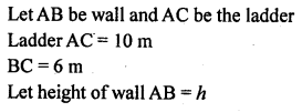 ML Aggarwal Class 9 Solutions for ICSE Maths Chapter 12 Pythagoras Theorem Q2.1