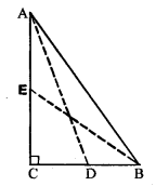 ML Aggarwal Class 9 Solutions for ICSE Maths Chapter 12 Pythagoras Theorem Q21.1