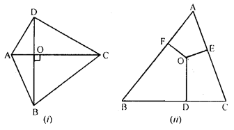 ML Aggarwal Class 9 Solutions for ICSE Maths Chapter 12 Pythagoras Theorem Q23.1