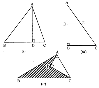 ML Aggarwal Class 9 Solutions for ICSE Maths Chapter 12 Pythagoras Theorem ch Q1.1