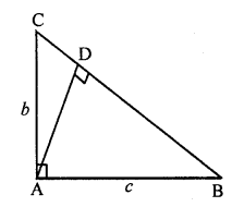 ML Aggarwal Class 9 Solutions for ICSE Maths Chapter 12 Pythagoras Theorem ch Q6.1