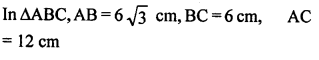 ML Aggarwal Class 9 Solutions for ICSE Maths Chapter 12 Pythagoras Theorem mul Q1.1