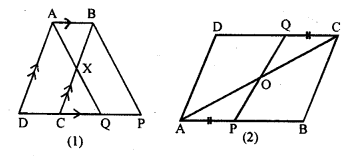 ML Aggarwal Class 9 Solutions for ICSE Maths Chapter 13 Rectilinear Figures Q14.1