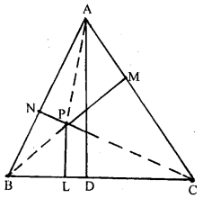 ML Aggarwal Class 9 Solutions for ICSE Maths Chapter 14 Theorems on Area Chapter Test img-8