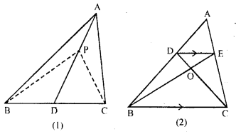 ML Aggarwal Class 9 Solutions for ICSE Maths Chapter 14 Theorems on Area Q3.1