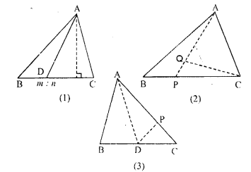 ML Aggarwal Class 9 Solutions for ICSE Maths Chapter 14 Theorems on Area Q9.1