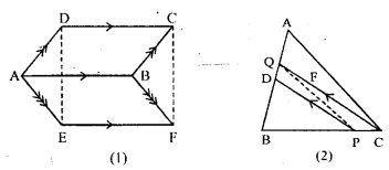 ML Aggarwal Class 9 Solutions for ICSE Maths Chapter 14 Theorems on Area Qp2.1