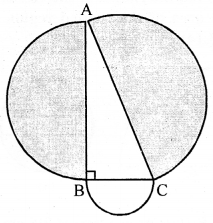 ML Aggarwal Class 9 Solutions for ICSE Maths Chapter 16 Mensuration 12.1