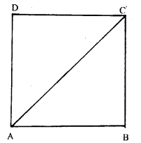 ML Aggarwal Class 9 Solutions for ICSE Maths Chapter 16 Mensuration 16.2 Q19.1