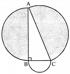 ML Aggarwal Class 9 Solutions for ICSE Maths Chapter 16 Mensuration Chapter Test img-25