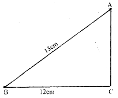 ML Aggarwal Class 9 Solutions for ICSE Maths Chapter 16 Mensuration Q5.1