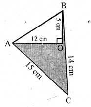 ML Aggarwal Class 9 Solutions for ICSE Maths Chapter 16 Mensuration ch Q1.1