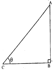 ML Aggarwal Class 9 Solutions for ICSE Maths Chapter 17 Trigonometric Ratios Chapter Test img-14