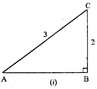 ML Aggarwal Class 9 Solutions for ICSE Maths Chapter 17 Trigonometric Ratios Chapter Test img-2