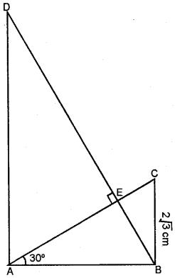 ML Aggarwal Class 9 Solutions for ICSE Maths Chapter 18 Trigonometric Ratios and Standard Angles Chapter Test img-25