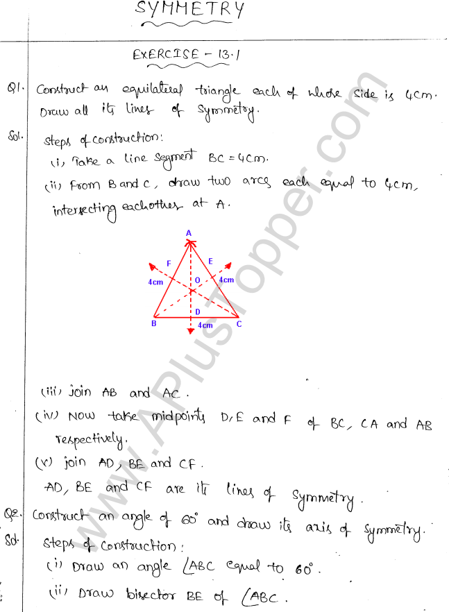 ML Aggarwal ICSE Solutions for Class 10 Maths Chapter 13 Symmetry Q1.1