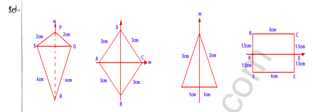 ML Aggarwal ICSE Solutions for Class 10 Maths Chapter 13 Symmetry Q1.18