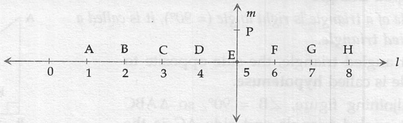 ML Aggarwal ICSE Solutions for Class 6 Maths Chapter 11 Understanding Symmetrical Shapes 32