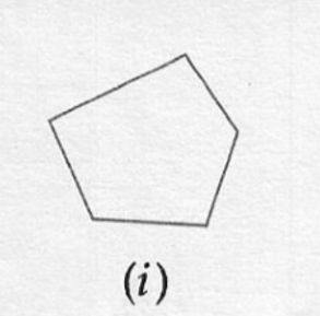 ML Aggarwal ICSE Solutions for Class 6 Maths Chapter 11 Understanding Symmetrical Shapes 36