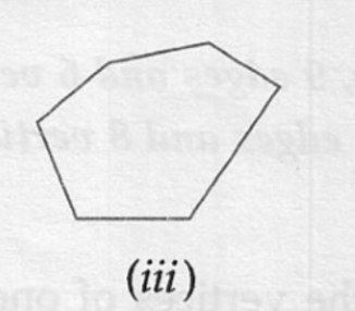 ML Aggarwal ICSE Solutions for Class 6 Maths Chapter 11 Understanding Symmetrical Shapes 38