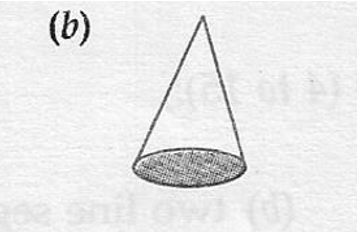 ML Aggarwal ICSE Solutions for Class 6 Maths Chapter 11 Understanding Symmetrical Shapes 42