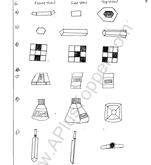 ML Aggarwal ICSE Solutions for Class 8 Maths Chapter 17 Visualising Solid Shapes 3