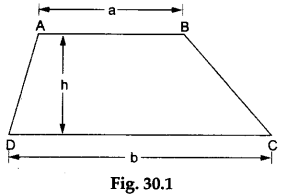 Math Labs with Activity - Derive a Formula for Finding the Area of a Trapezium 1