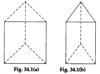 Math Labs with Activity - Determine the Total Surface Area 1