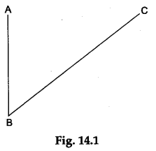 Math Labs with Activity - Draw a Parallelogram Whose Two Adjacent Sides are-Given 1