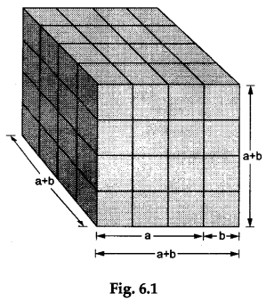 Math Labs with Activity - Verify the Identity (a+b)³ =a³ + 3a²b + 3ab² +b³ 1