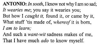 Merchant of Venice Workbook Answers Act 1, Scene I 1