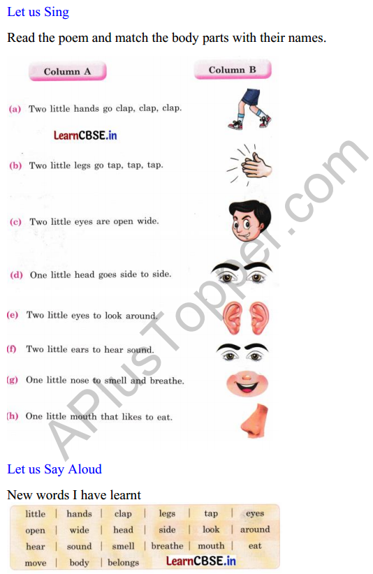 Mridang Class 1 English Worksheet Chapter 1 Two Little Hands 1