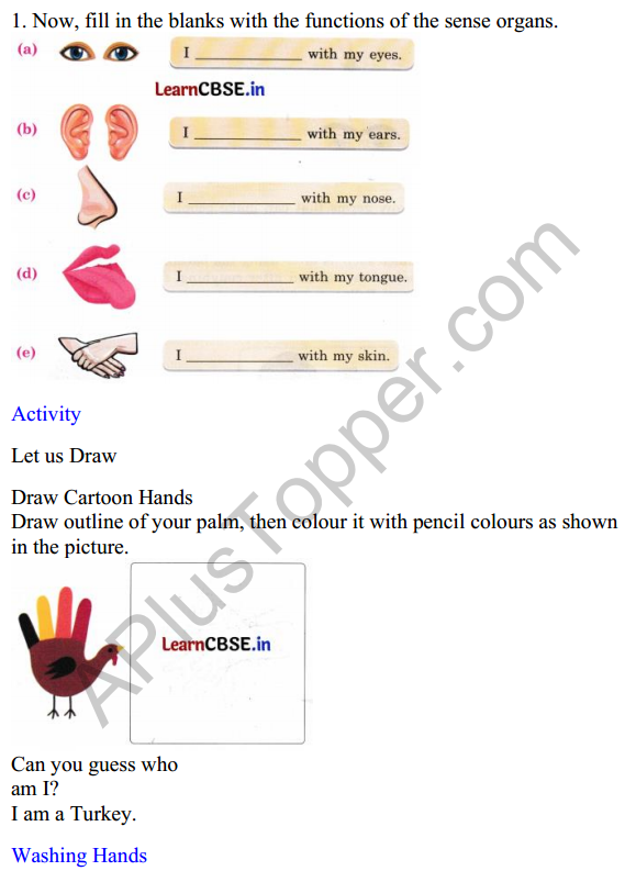 Mridang Class 1 English Worksheet Chapter 1 Two Little Hands 3