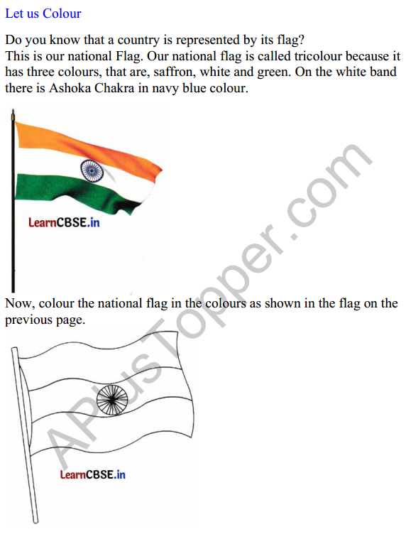 Mridang Class 1 English Worksheet Chapter 9 Anandi’s Rainbow 5