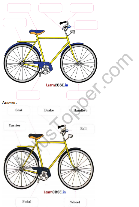 Mridang Class 2 English Solutions Chapter 1 My Bicycle 3