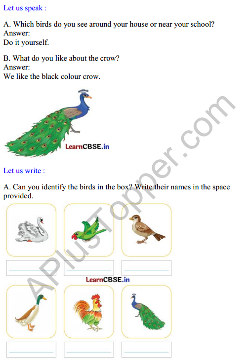 Mridang Class 2 English Solutions Chapter 10 The Crow 1