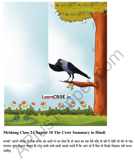 Mridang Class 2 English Solutions Chapter 10 The Crow 6