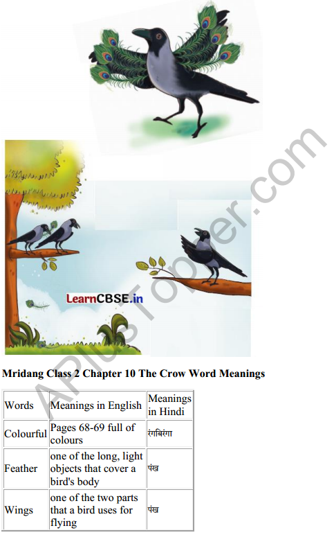 Mridang Class 2 English Solutions Chapter 10 The Crow 7