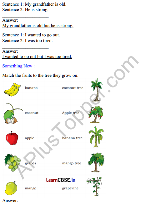 Mridang Class 2 English Solutions Chapter 13 We Are All Indians 4