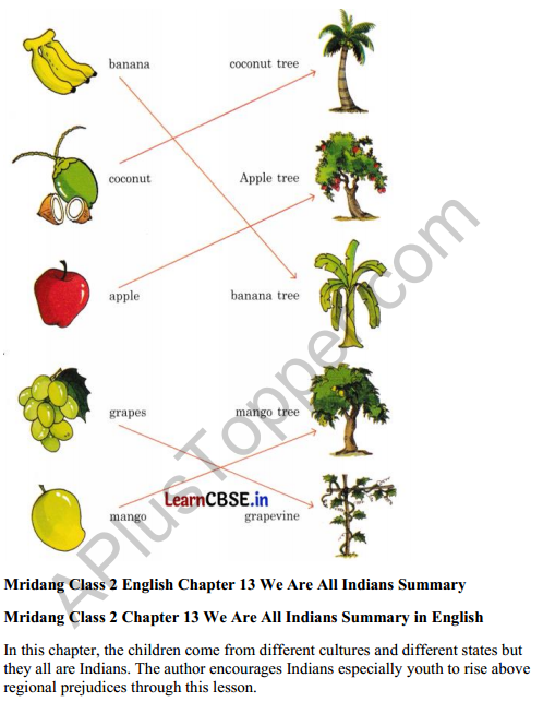 Mridang Class 2 English Solutions Chapter 13 We Are All Indians 5