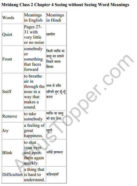 Mridang Class 2 English Solutions Chapter 4 Seeing without Seeing 6